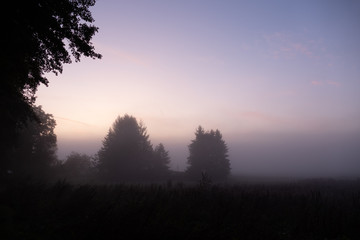Fototapeta na wymiar sunrise with fog