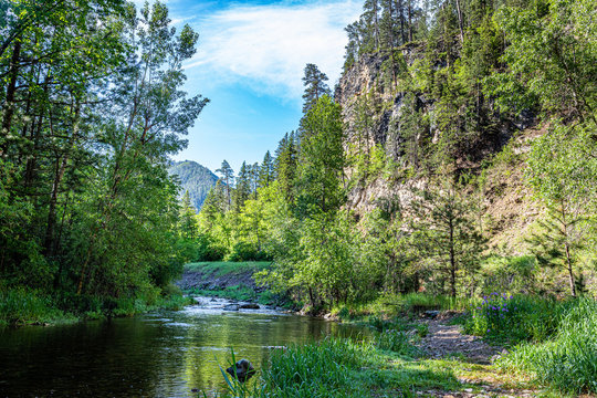 Spearfish Creek in the Black Hills