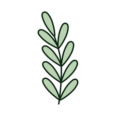 green branch leaves foliage icon