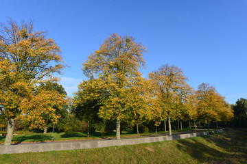 Naturschutzgebiet Bulau in Hanau-Hessen	