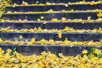 Obraz premium Stairs filled with colourful autumn leaves.