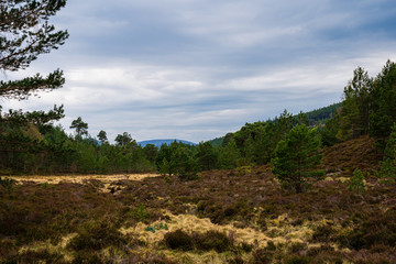 Fototapeta na wymiar Beautiful landscapes and stunning nature of Scotland. Scottish Highlands in summer.