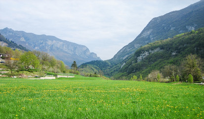 EMERAL WATER LAKE IN ITALY. ITALIAN LAKE CALLED LAGO DI TENNO IN TRENTINO ALTO ADIGE.