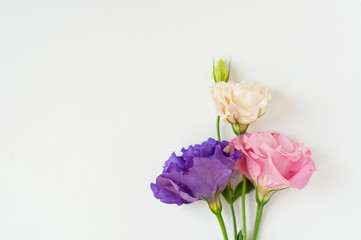 Fototapeta na wymiar Beautiful pink, purple and white eustoma flower (lisianthus) in full bloom with green leaves. Bouquet of flowers on white background. Flat lay.
