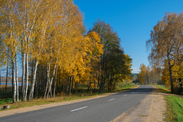 Fototapeta premium Autumn scene with road in forest near lake.