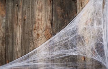 white spider web in the corner of the composition, gray wooden background from old boards