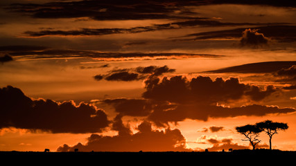 Fototapeta premium Maasai Mara sunset, Kenya
