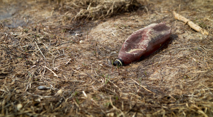 Pollution concept with plastic trash on beach