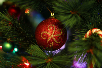 Shiny red Christmas ball on a fir tree with Christmas decorations and blurred lights.