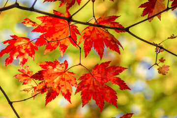 北海道の秋