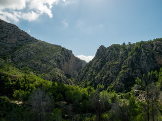 Fototapeta na wymiar mountains with vegetation and lonely valley