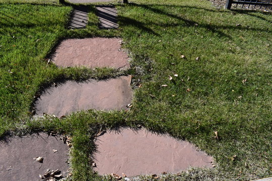 Stepping stones in grass