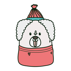 cute dog with hat and tongue out merry christmas