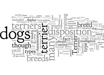 Fototapeta na wymiar breed dog terrier