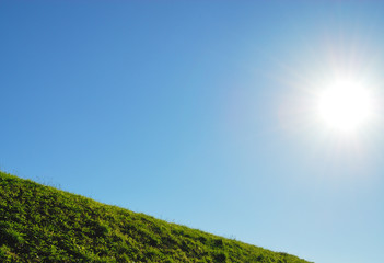 草　空　素材