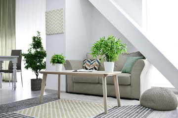 Green houseplants in interior of living room