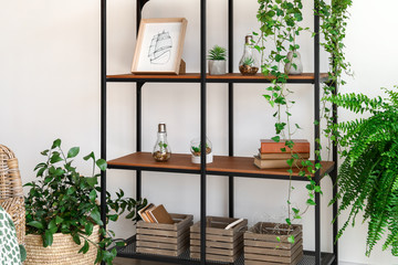 Rack with green houseplants near white wall in room