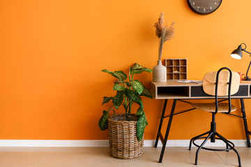 Stylish workplace with green houseplant near color wall