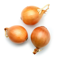 Fresh raw onions on white background