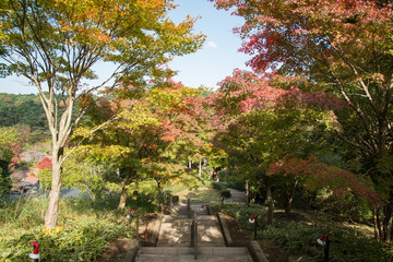 Naklejka premium 修善寺_虹の郷