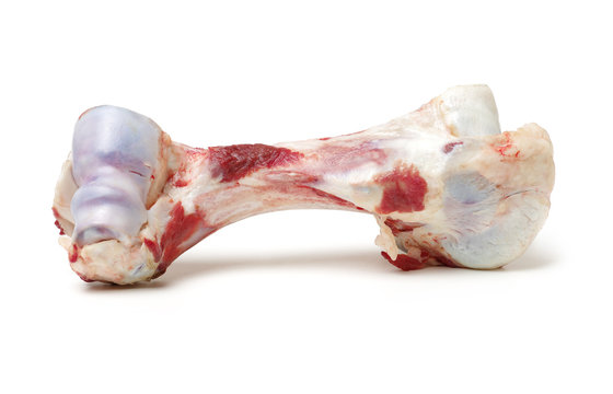 Raw beef bones on white background