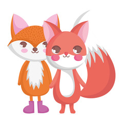 cute foxes cartoon animals white background