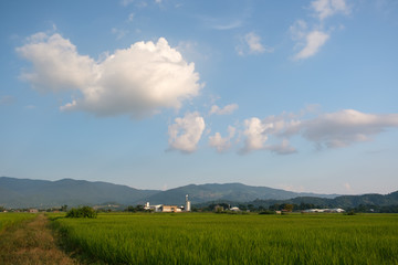 Countryside and rice fields on the indigo blue day.White clouds floating over the mountains