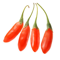 Goji berry isolated on white background