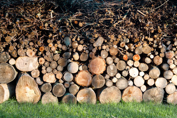 Sawn large and small logs and brushwood are neatly stacked from large to small on the green grass. Preparing for the heating season. For a natural design