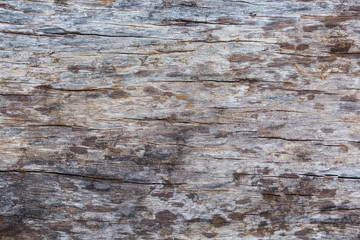 Naklejka premium pattern and art of decay wood surface