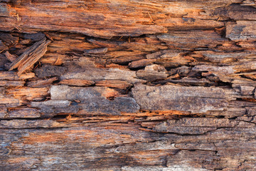 pattern and art of decay wood surface