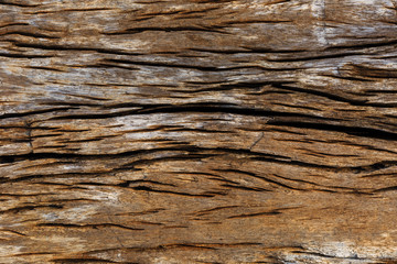 Fototapeta na wymiar pattern and art of decay wood surface