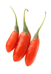 Goji berry isolated on white background