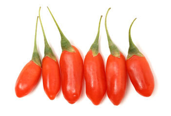 Goji berry isolated on white background