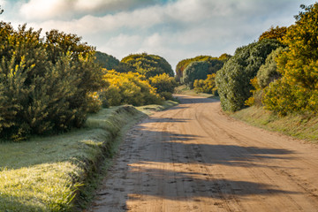 Temperate morning along a dirt road surrounded by short grass and trees. nursery of Miramar Argentina