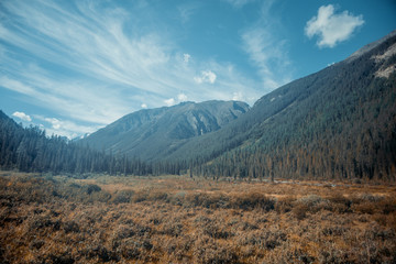 Fototapeta na wymiar Altai nature