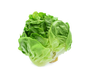 green baby cos lettuce vegetable isolated on white background