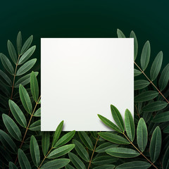 Mockup white paper with  green leaves background.