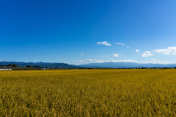 山形の田園風景