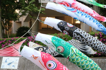  横浜を流れる川に飾られた鯉のぼり