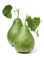 calabash on white background 