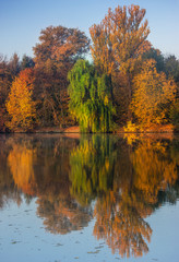 Lake reflections of fall foliage. Colorful autumn foliage casts its reflection on the calm waters. Autumn landscape.