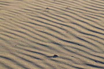 Close Up Rippled Sand At The Beach Formed By Wind At Sunrise