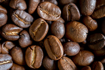 close up of roasted coffee beans
