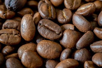 close up of roasted coffee beans