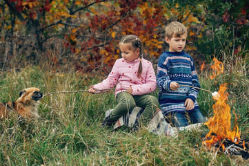 Children fry marshmallows by the fire in the autumn forest . Children's outdoor recreation