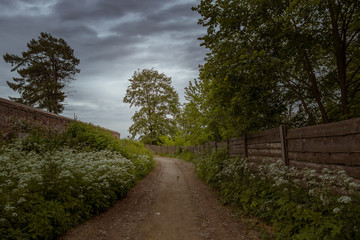 Forest path extending into the distance. A beautiful summer park with a trail surrounded by white flowers and different trees. Overcast. The sky is frowning. Landscape before a thunderstorm.