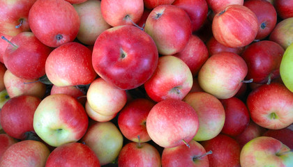 Fresh ripe red and yellow apples background