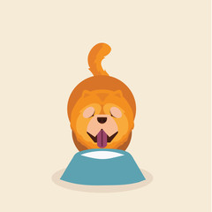 Dog chow chow cartoon vector illustration.