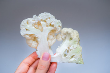 Trees and bushes with curly crown. Hand holding a slice of cauliflower on a gray background. The concept of conservation of trees, love of nature, struggle for ecology. Save the planet's green lungs.